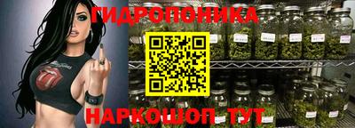 jwh Ставрополь