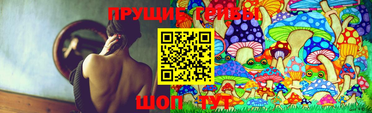 Псилоцибиновые грибы прущие грибы Новый Уренгой