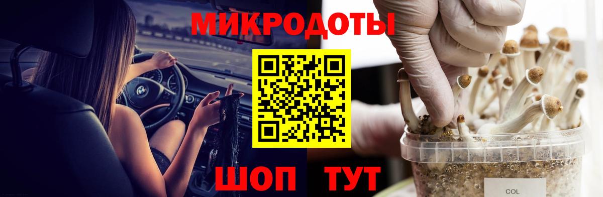 Псилоцибиновые грибы GOLDEN TEACHER  Вход с VPN  где можно купить наркотик  Галлюциногенные грибы Magic Shrooms  Новый Уренгой 